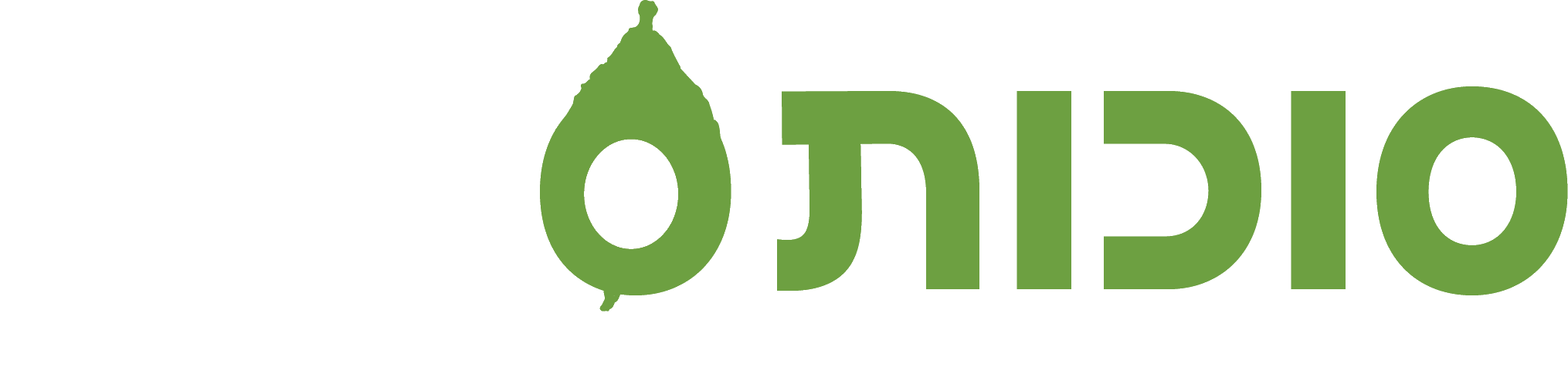 סוכות סנטר